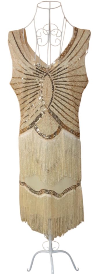Gatsby dress Uk14 Champagne 2 rows of fringe
